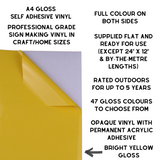 Self-Adhesive Gloss Vinyl • by the metre  • 610mm wide  • A5 samples available