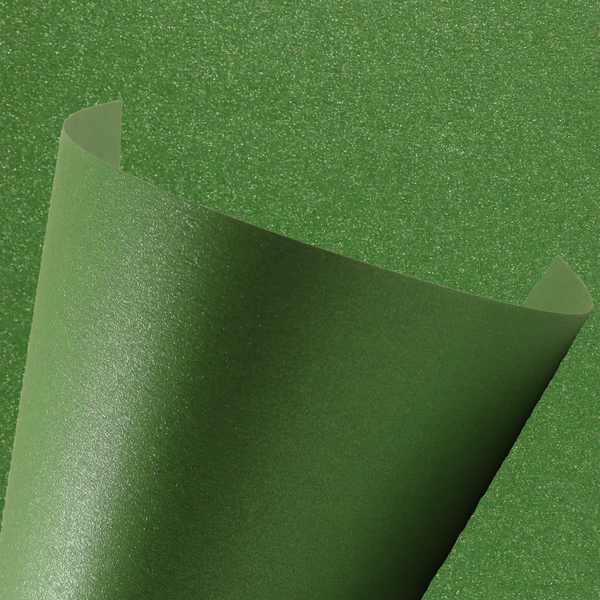 120gsm Botanic Green Metallic • A4
