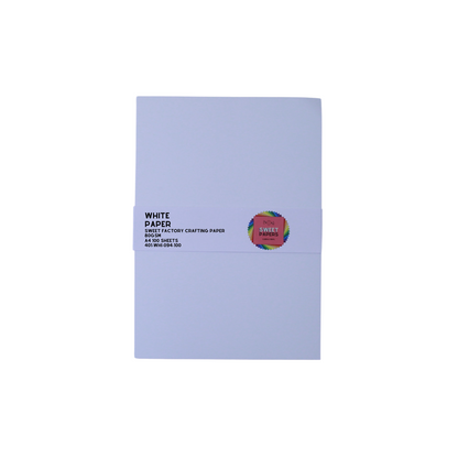 A4 Coloured Paper • 100 Sheet Packs