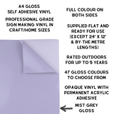 Self-Adhesive Gloss Vinyl • by the metre  • 610mm wide  • A5 samples available