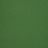 120gsm Botanic Green Metallic • A4