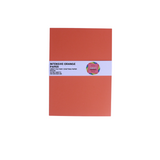 A4 Coloured Paper • 100 Sheet Packs