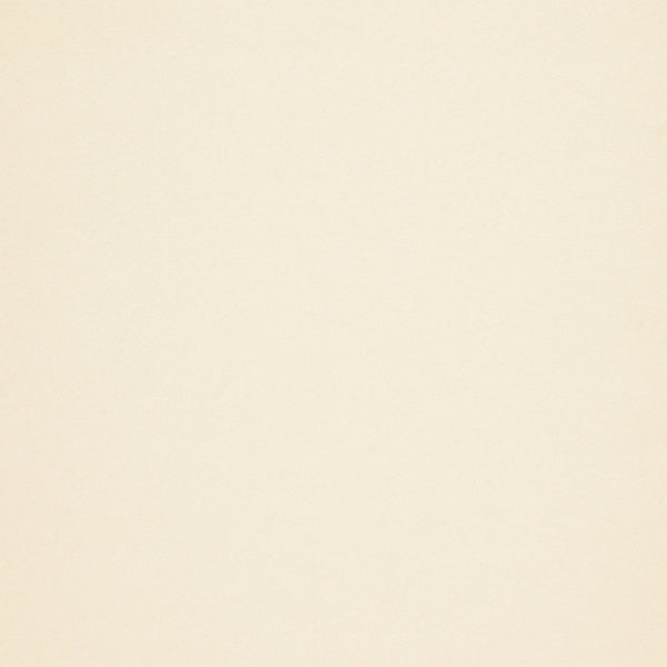 400gsm boxcard Champagne Pearlescent card • A4