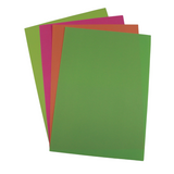 A4 Card 160gsm Tints and Mixed Packs