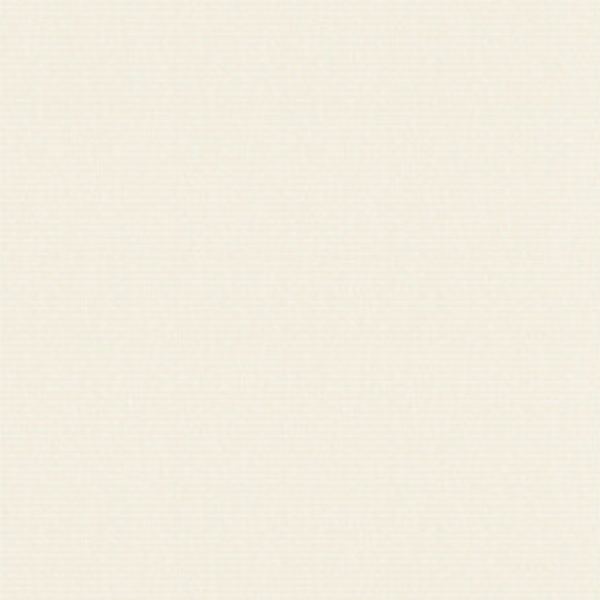 100gsm Curtis Conservation Natural White • A4 •