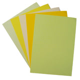 A4 Card 160gsm Tints and Mixed Packs